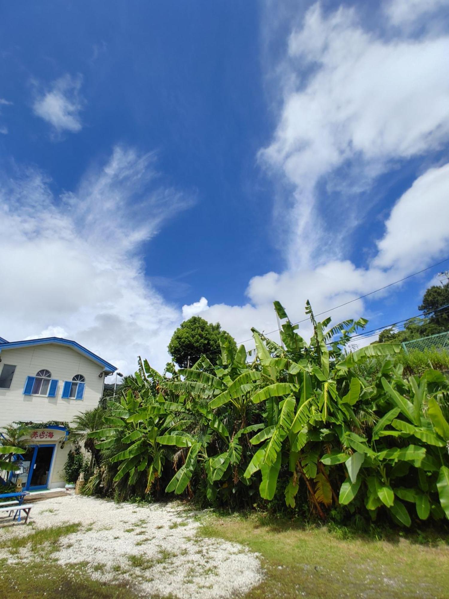 Guest House Churaumi Shimoda  Exterior photo