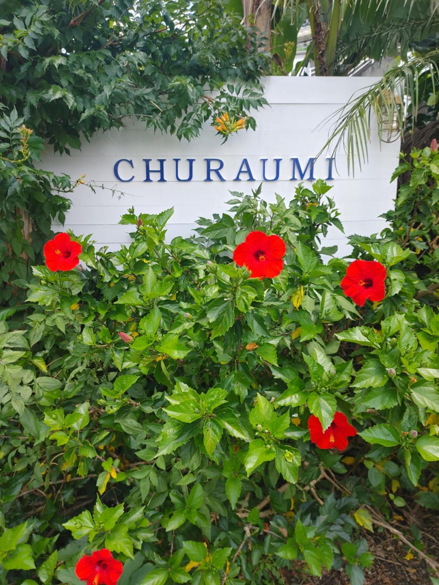 Guest House Churaumi Shimoda  Exterior photo