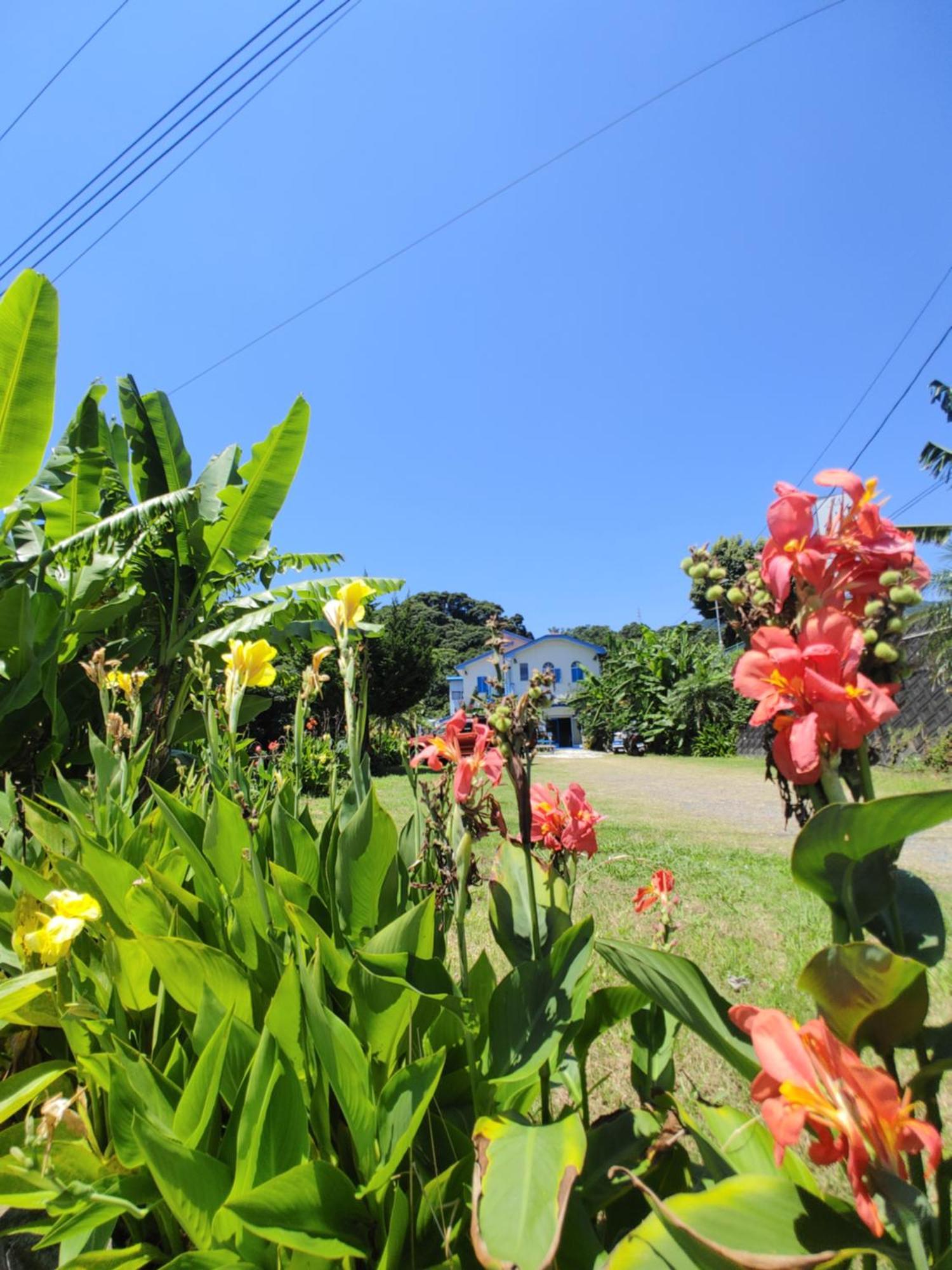 Guest House Churaumi Shimoda  Exterior photo